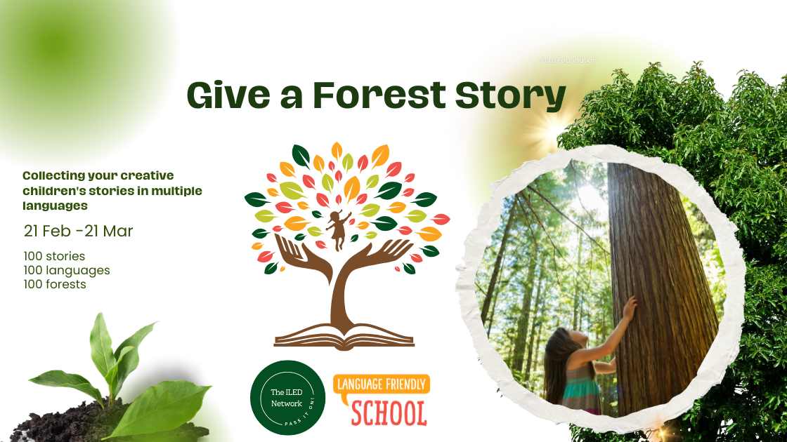 Featured image for “Give a Forest Story”